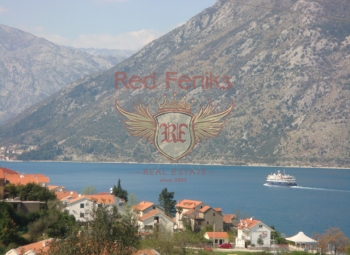 Club house &quot;Camellia&quot; is located in the Boka Bay of Kotor, in the village of flowering camellias - Stoliv.