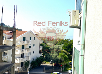 Cozy apartment for sale in Petrovac with a total area of 48m2.