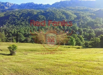 Scenic plot with an area of 22 050м2 and 1 hectare of forest is for sale.