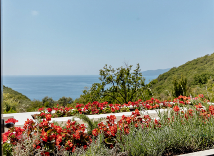Panoramik Deniz Manzaralı İki Güzel Villa, Region Budva satılık müstakil ev, Region Budva satılık müstakil ev