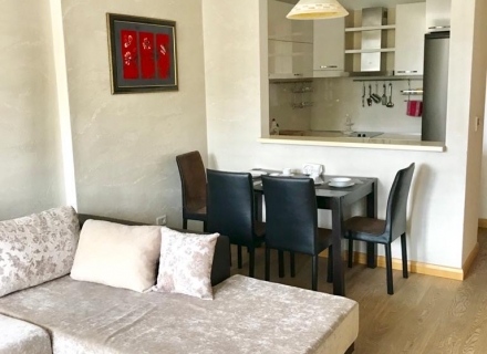 Apartment mit einem Schlafzimmer Budva, Wohnungen in Montenegro, Wohnungen mit hohem Mietpotential in Montenegro kaufen
