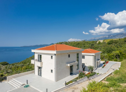 Panoramik Deniz Manzaralı İki Güzel Villa, Karadağ da satılık havuzlu villa, Karadağ da satılık deniz manzaralı villa, Becici satılık müstakil ev