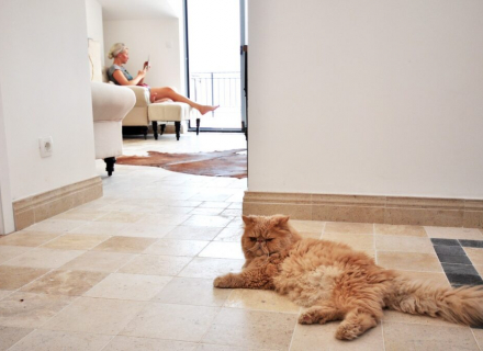 Prelijep penthouse na prodaju u Risnu sa fenomenalnim pogledom na more, stanovi u Crnoj Gori, stanovi sa visokim potencijalom zakupa u Crnoj Gori, apartmani u Crnoj Gori