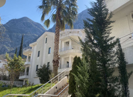 Prostran apartman u blizini plaze, kupoviti stan u Dobrota, prodaja kuće u Kotor-Bay, kupiti stan u Crnoj Gori