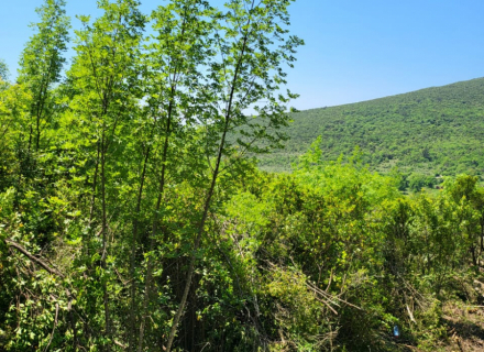 Urbanisiertes Grundstück mit Meerblick, Grundstück in Montenegro kaufen, Grundstück in Montenegro zum Verkauf