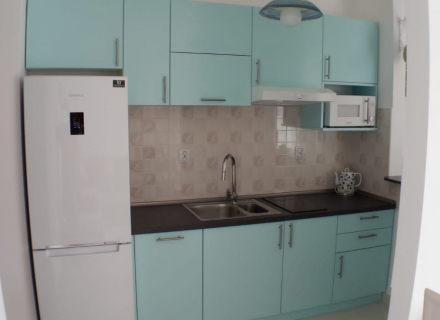 Ein-Zimmer-Apartment mit schönem Garten in Baosici, Wohnungen in Montenegro, Wohnungen mit hohem Mietpotential in Montenegro kaufen