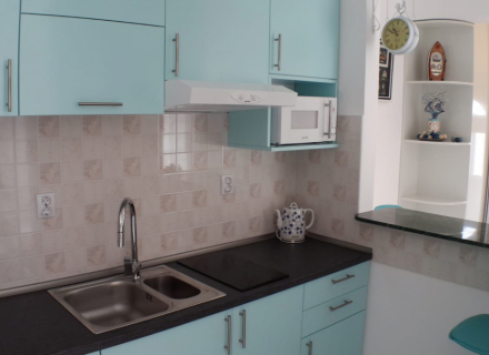 Ein-Zimmer-Apartment mit schönem Garten in Baosici, Wohnungen in Montenegro kaufen, Wohnungen zur Miete in Baosici kaufen