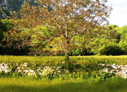 Grundstück mit atemberaubendem Meerblick – ideal für ein Ethnodorf, Grundstück in Montenegro kaufen, Grundstück in Montenegro zum Verkauf