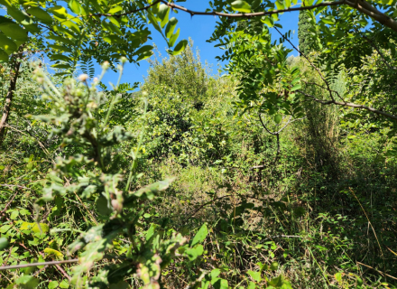 Satılık Cazip Arsa – Kamenari / Bijela, Tivat satılık arsa, Herceg Novi satılık arsa