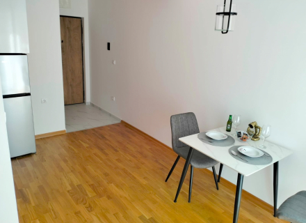 Studio-Apartment in Budva mit Meerblick, Wohnungen in Montenegro kaufen, Wohnungen zur Miete in Becici kaufen