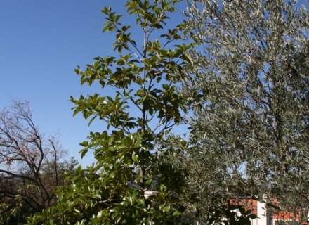 Villa u Kavac, Bigova kuća kupiti, kupiti kuću u Crnoj Gori, kuća s pogledom na more u Crnoj Gori
