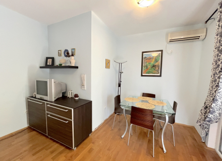 Ein-Zimmer-Wohnung in Petrovac, Wohnungen zum Verkauf in Montenegro, Wohnungen in Montenegro Verkauf, Wohnung zum Verkauf in Region Budva