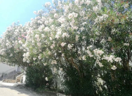 Slatka kuća u Bečićima sa pogledom na more, kuća blizu mora Crna Gora, kuća Crna Gora prodaja, kuća Crna Gora