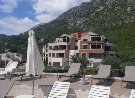 Prostran dvosoban stan sa baštom, stanovi u Crnoj Gori, stanovi sa visokim potencijalom zakupa u Crnoj Gori, apartmani u Crnoj Gori