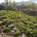 Sea View Urbanized Plot in Tivat, plot in Montenegro for sale, buy plot in Region Tivat, building plot in Montenegro
