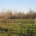 Urbanized plot in Danilovgrad is for sale.
