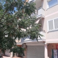 Apartment mit zwei Schlafzimmern und Meerblick in Tivat, Verkauf Wohnung in Bigova, Haus in Montenegro kaufen