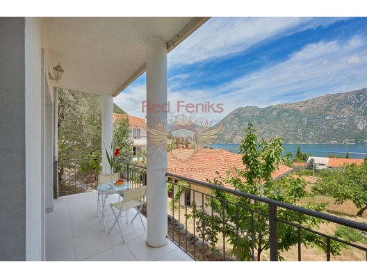 The apartment is 65 sq meters and is located on the high ground’floor of the Club House &quot;Camellia&quot;, located in the Bay of Kotor, with a panoramic view of Kotor Bay.