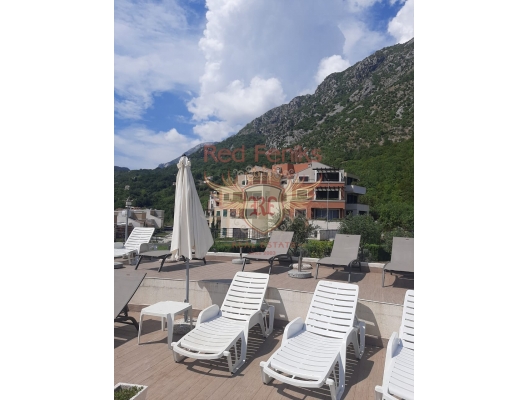 Two bedroom apartment in a complex with a pool on the beachfront, apartment for sale in Kotor-Bay, sale apartment in Dobrota, buy home in Montenegro