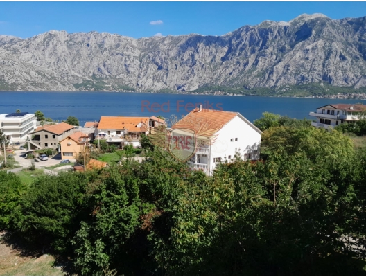 Club house &quot;Camellia&quot; is located in the Bay of Kotor, in the village of flowering camellias - Stoliv.