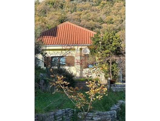 Cozy one-storey house in a quiet location, Kamenari, Baosici house buy, buy house in Montenegro, sea view house for sale in Montenegro